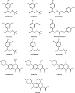 Graphical abstract: Sensitive and specific detection of a new β-agonist brombuterol in tissue and feed samples by a competitive polyclonal antibody based ELISA