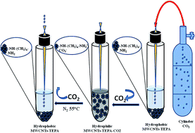 Graphical abstract: A new green switchable hydrophobic–hydrophilic transition dispersive solid–liquid microextraction of selenium in water samples