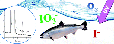 Graphical abstract: A simple and sensitive method for the determination of iodide and iodate in raw, ultraviolet- and ozone-treated aquacultural seawater samples using ion chromatography coupled to an ultraviolet detector