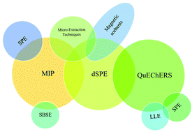 Graphical abstract: Recent advancements in analytical methods for the determination of steroidal estrogen residues in environmental and food matrices