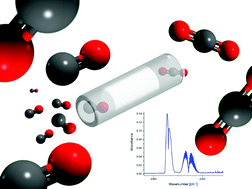 Graphical abstract: muciPRECON: multichannel preconcentrators for portable mid-infrared hydrocarbon gas sensors