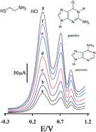 Graphical abstract: Electrochemical determination of cysteamine in the presence of guanine and adenine using a carbon paste electrode modified with N-(4-hydroxyphenyl)-3,5-dinitrobenzamide and magnesium oxide nanoparticles