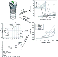 Graphical abstract: Capsaicin determination and chili sauce discrimination using low-cost and portable electrochemical sensors based on all graphite pencil electrodes