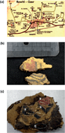 Graphical abstract: Surface and stratigraphic elemental analysis of an ancient Egyptian cartonnage using Laser-Induced Breakdown Spectroscopy (LIBS)