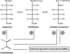 Graphical abstract: Quantification of prospective type 2 diabetes mellitus biomarkers by stable isotope dilution with bi-labeled standard glycated peptides