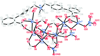 Graphical abstract: Rare double spin canting antiferromagnetic behaviours in a [Co24] cluster