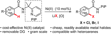 Graphical abstract: Nickel-catalyzed ortho-halogenation of unactivated (hetero)aryl C–H bonds with lithium halides using a removable auxiliary