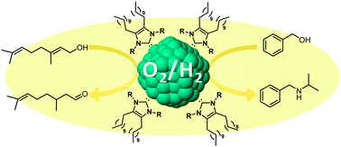 Graphical abstract: Long-chain NHC-stabilized RuNPs as versatile catalysts for one-pot oxidation/hydrogenation reactions