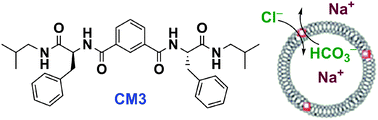 Graphical abstract: A small synthetic molecule functions as a chloride–bicarbonate dual-transporter and induces chloride secretion in cells