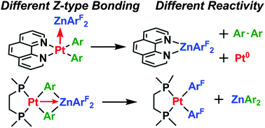 Graphical abstract: Lewis acid–base interactions between platinum(ii) diaryl complexes and bis(perfluorophenyl)zinc: strongly accelerated reductive elimination induced by a Z-type ligand