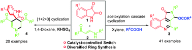 Graphical abstract: Insights into the unexpected chemoselectivity in Brønsted acid catalyzed cyclization of isatins with enaminones: convenient synthesis of pyrrolo[3,4-c]quinolin-1-ones and spirooxindoles