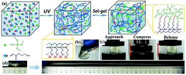 Graphical abstract: Silicone-based tough hydrogels with high resilience, fast self-recovery, and self-healing properties