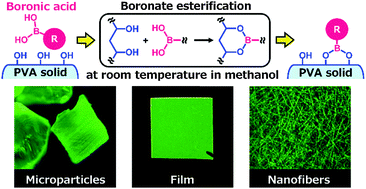 Graphical abstract: Boronic acid as an efficient anchor group for surface modification of solid polyvinyl alcohol