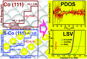 Graphical abstract: The surface sulfur doping induced enhanced performance of cobalt catalysts in oxygen evolution reactions