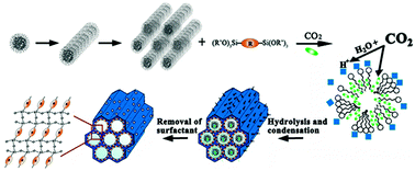 Graphical abstract: Compressed CO2 mediated synthesis of bifunctional periodic mesoporous organosilicas with tunable porosity