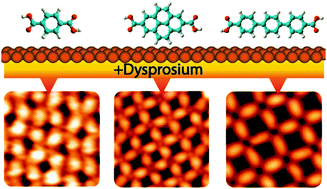 Graphical abstract: Dysprosium-carboxylate nanomeshes with tunable cavity size and assembly motif through ionic interactions