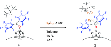 Graphical abstract: Hydrogen cleavage by solid-phase frustrated Lewis pairs