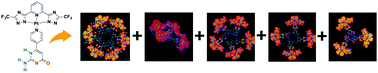 Graphical abstract: Discrete polygonal supramolecular architectures of isocytosine-based Pt(ii) complexes at the solution/graphite interface