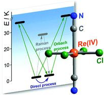 Graphical abstract: Multifaceted magnetization dynamics in the mononuclear complex [ReIVCl4(CN)2]2−