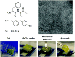 Graphical abstract: Metastable hydrogels from aromatic dipeptides