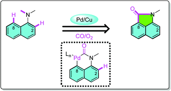Graphical abstract: C8–H bond activation vs. C2–H bond activation: from naphthyl amines to lactams