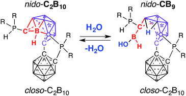 Graphical abstract: Reversible water activation driven by contraction and expansion of a 12-vertex-closo-12-vertex-nido biscarborane cluster