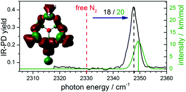 Graphical abstract: Vibrational blue shift of coordinated N2 in [Fe3O(OAc)6(N2)n]+: “non-classical” dinitrogen complexes