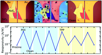 Graphical abstract: Engineering the optoelectronic properties of MoS2 photodetectors through reversible noncovalent functionalization