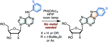 Graphical abstract: Benzimidazopurine nucleosides from N6-aryl adenosine derivatives by PhI(OAc)2-mediated C–N bond formation, no metal needed