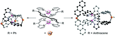 Graphical abstract: Pre-organization of clefts for Ag–π interactions in Zn(ii) bisdipyrrin helicates for the construction of heterometallic networks
