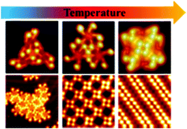 Graphical abstract: Kinetically controlled hierarchical self-assemblies of all-trans-retinoic acid on Au(111)