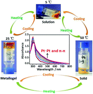 Graphical abstract: Multiphase transition of supramolecular metallogels triggered by temperature