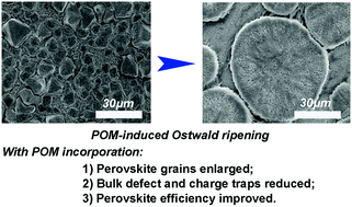 Graphical abstract: Large grain growth for hole-conductor-free fully printable perovskite solar cells via polyoxometalate molecular doping