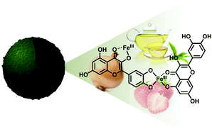 Graphical abstract: Biofunctional metal–phenolic films from dietary flavonoids