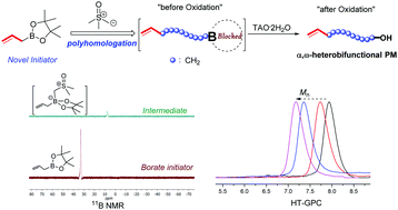Graphical abstract: Allyl borates: a novel class of polyhomologation initiators