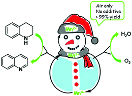 Graphical abstract: Heterogeneous mesoporous manganese oxide catalyst for aerobic and additive-free oxidative aromatization of N-heterocycles