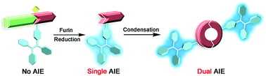 Graphical abstract: Dual aggregation-induced emission for enhanced fluorescence sensing of furin activity in vitro and in living cells