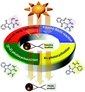 Graphical abstract: A photo-auxiliary approach – enabling excited state classical phototransformations with metal free visible light irradiation