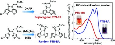 Graphical abstract: Synthesis of regioregular π-conjugated polymers consisting of a lactam moiety via direct heteroarylation polymerization