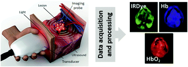 Graphical abstract: Molecular imaging probes for multi-spectral optoacoustic tomography