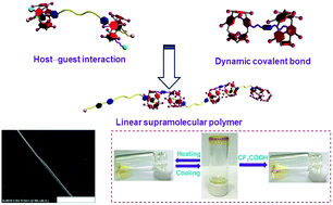 Graphical abstract: In situ supramolecular polymerization promoted by the marriage of dynamic covalent bonding and pillar[5]arene-based host–guest interaction