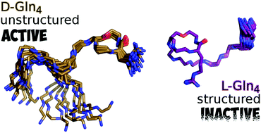 Graphical abstract: Defining the molecular structure of teixobactin analogues and understanding their role in antibacterial activities