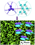 Graphical abstract: A new strategy towards the synthesis of a room-temperature discotic nematic liquid crystal employing triphenylene and pentaalkynylbenzene units