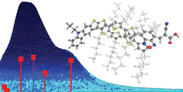Graphical abstract: Enhancing the power conversion efficiency of dye-sensitized solar cells via molecular plasmon-like excitations