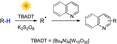 Graphical abstract: Versatile cross-dehydrogenative coupling of heteroaromatics and hydrogen donors via decatungstate photocatalysis