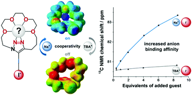 Graphical abstract: Halogen-bond-based cooperative ion-pair recognition by a crown-ether-embedded 5-iodo-1,2,3-triazole