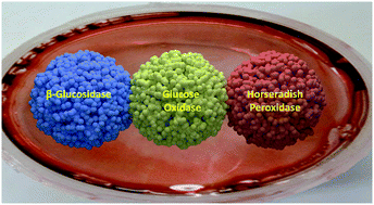 Graphical abstract: Multi-enzyme cascade reactions using protein–polymer surfactant self-standing films