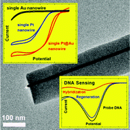 Graphical abstract: Single gold nanowire electrodes and single Pt@Au nanowire electrodes: electrochemistry and applications