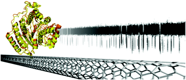 Graphical abstract: Real-time monitoring of conformational transitions of single-molecule histone deacetylase 8 with nanocircuits