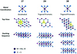 Graphical abstract: 3R phase of MoS2 and WS2 outperforms the corresponding 2H phase for hydrogen evolution